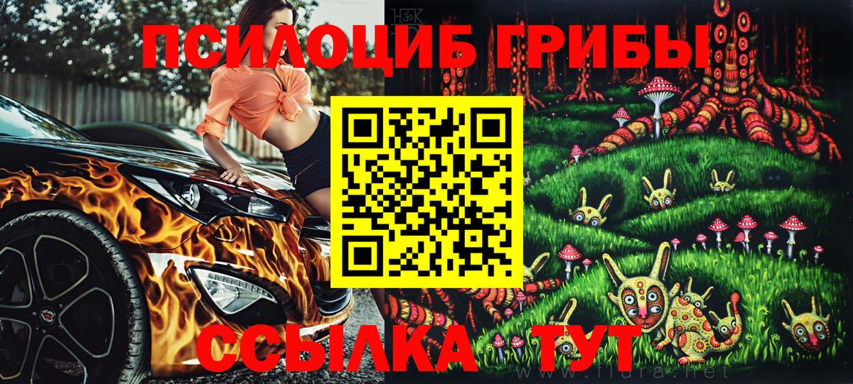 Псилоцибиновые грибы MAGIC MUSHROOMS  Вход с VPN  Канск  Галлюциногенные грибы Cubensis 