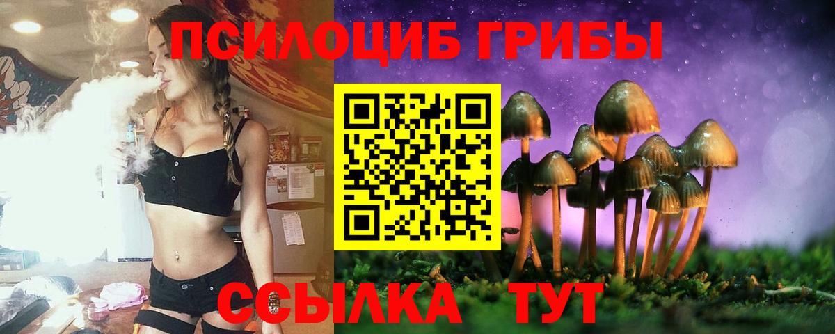 Галлюциногенные грибы Psilocybine cubensis Канск